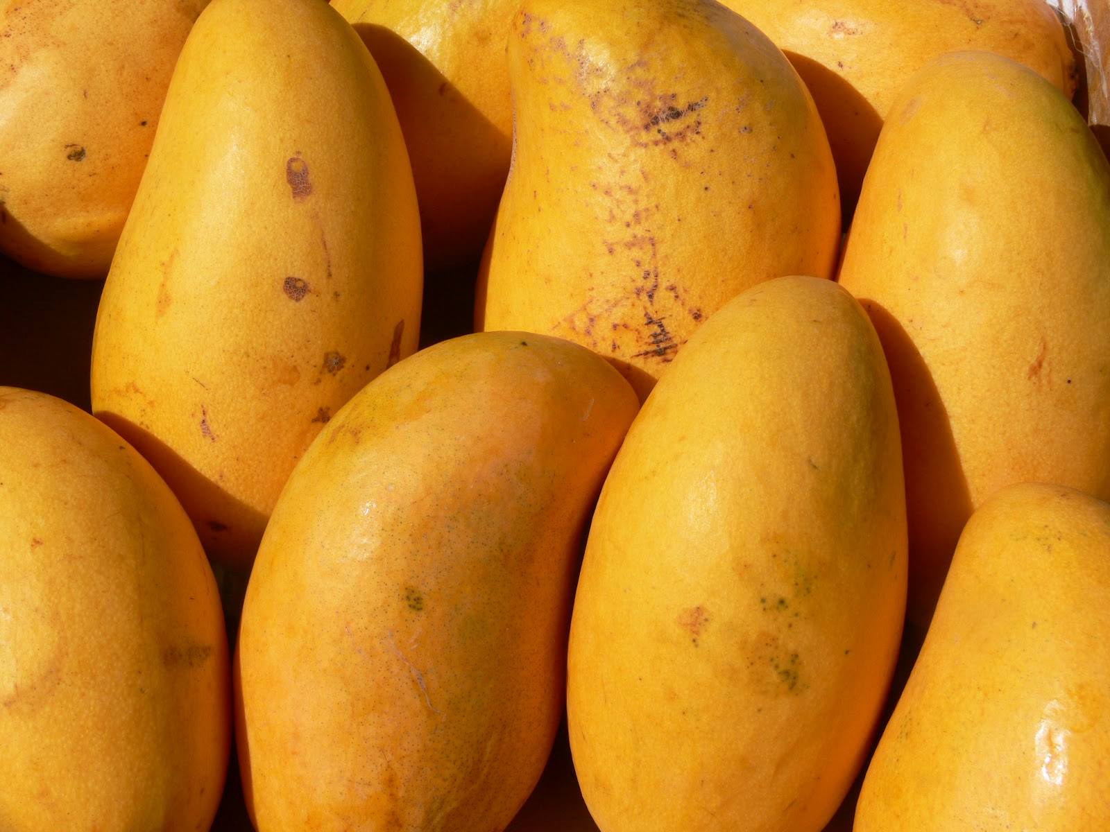 Mangoes Are Not Forbidden In Diabetes
